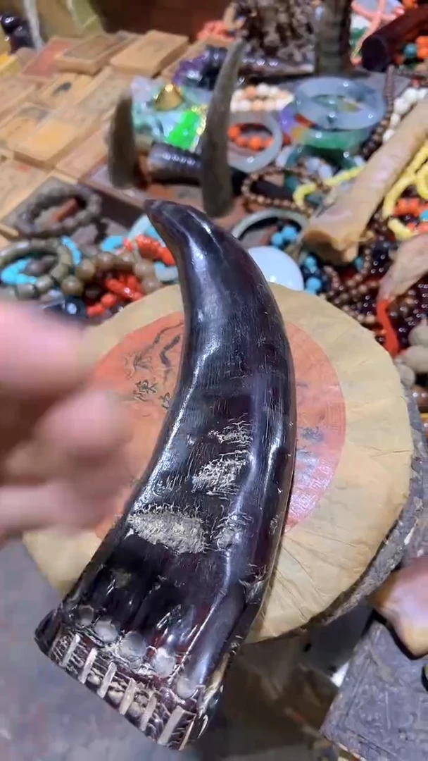 紫砂紫砂紫砂紫砂