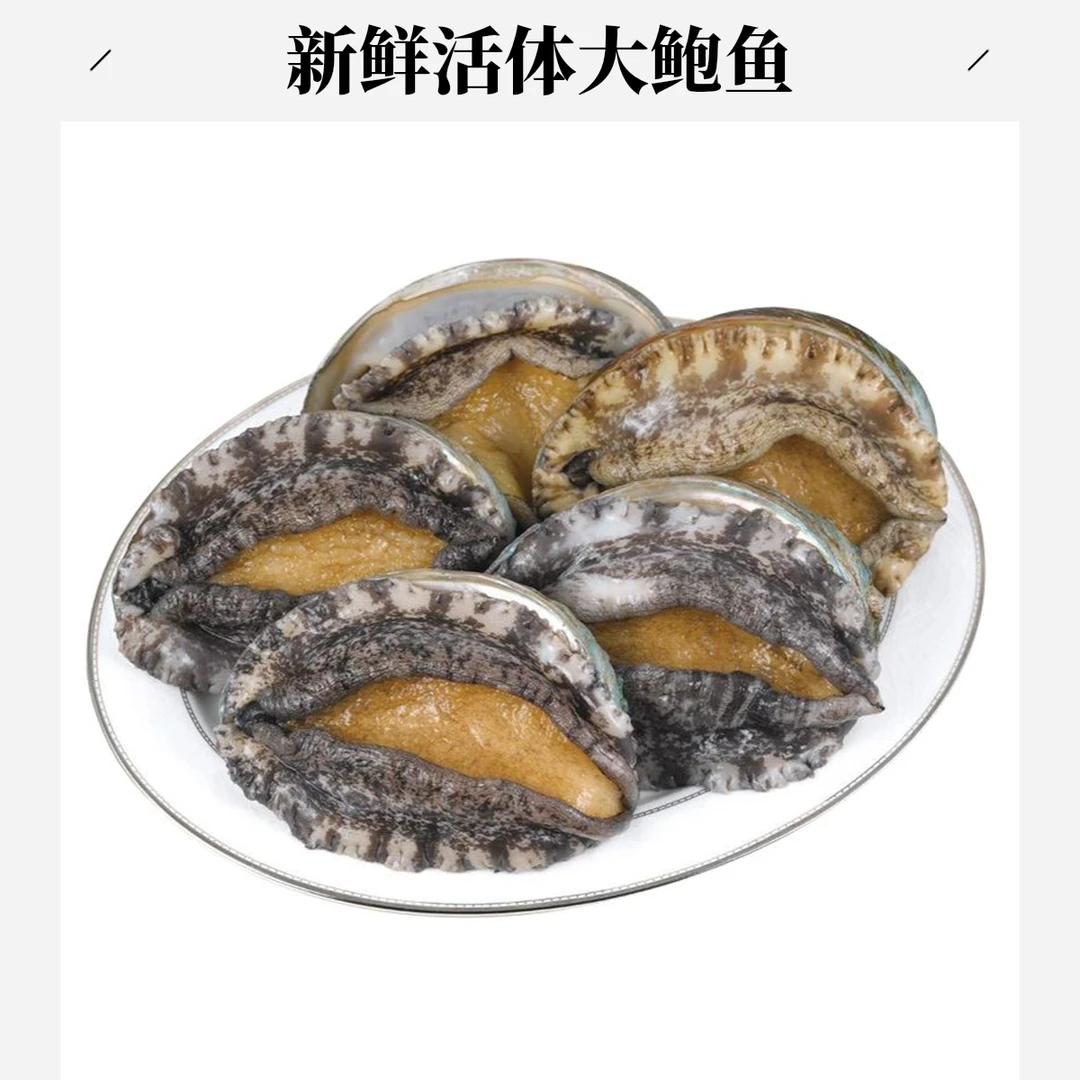 新鲜活体大鲍鱼（活）3个海鲜