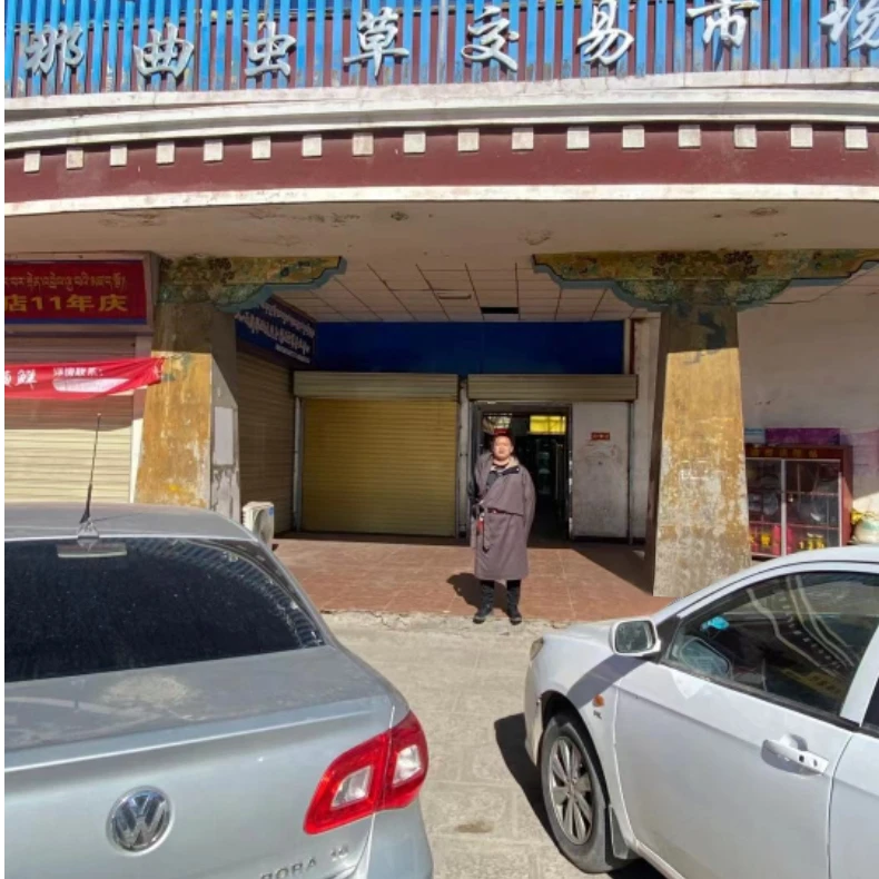 【1克试用装】西藏那曲比如冬虫夏草西藏直发