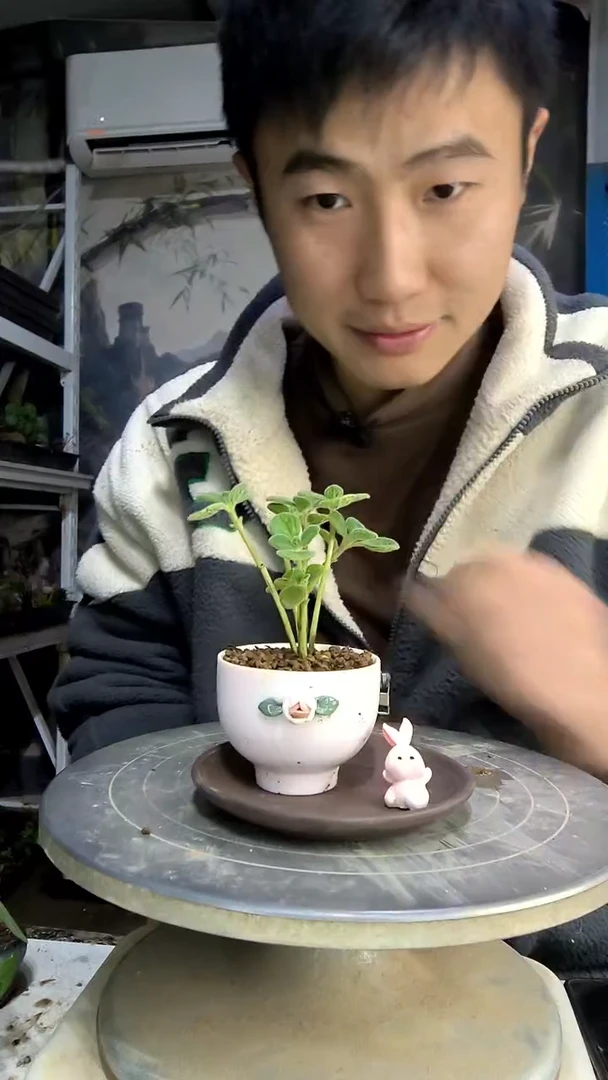 格*中青园艺一物一拍207