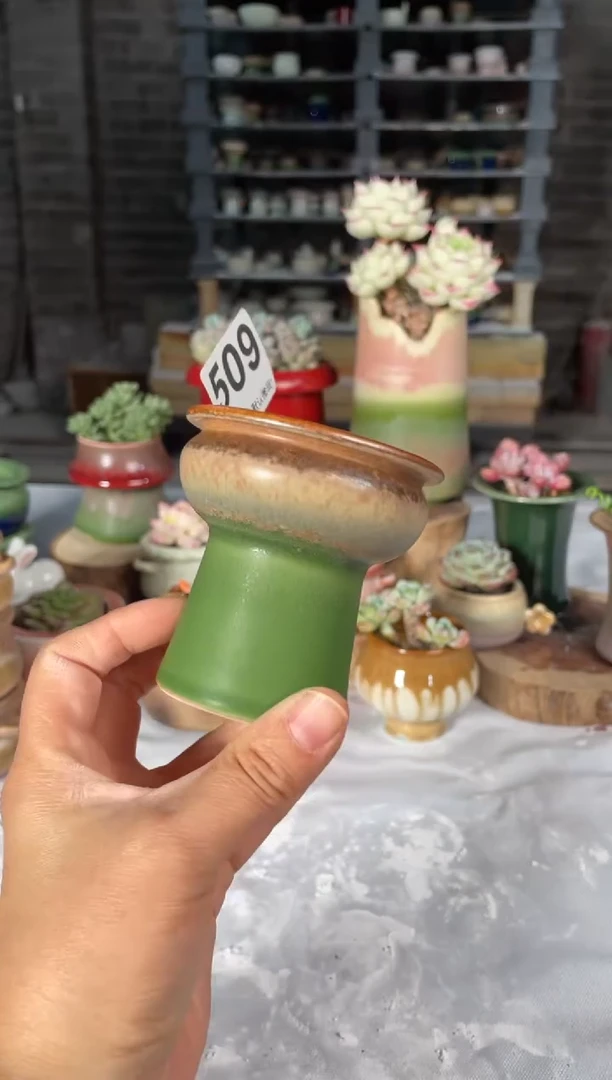 瓷片509小芳直播编号