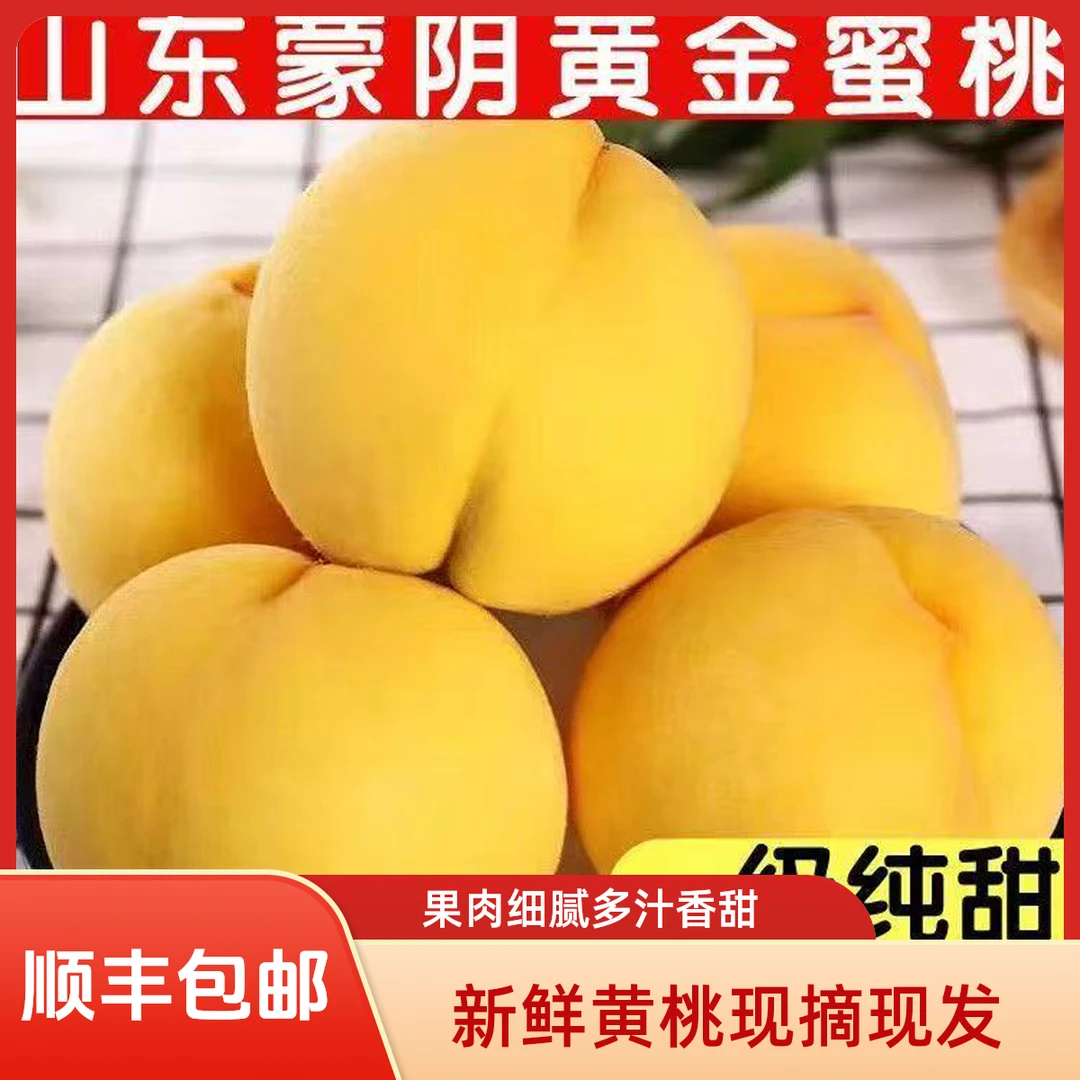正宗蒙阴锦绣黄桃脆甜软糯美味食用多汁0防腐剂现摘现发顺丰包邮