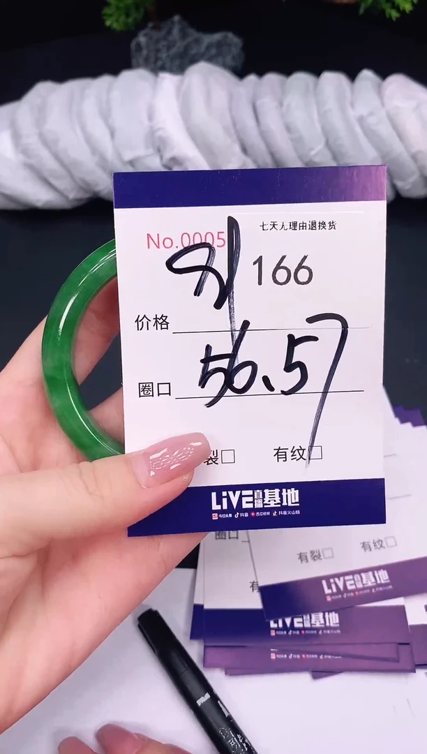 未镶嵌手镯翡翠166