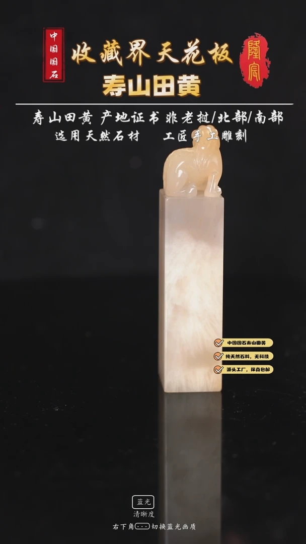 寿山石逸*智寿山荔枝洞古兽方章