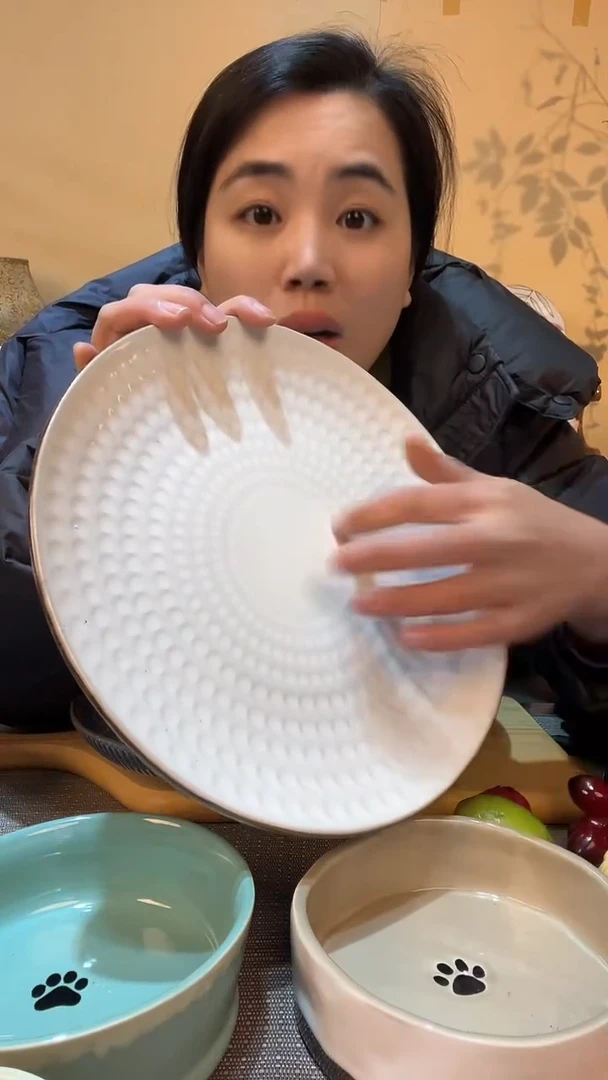 【闪购商品】瓷片10英寸盘 微瑕介意勿拍