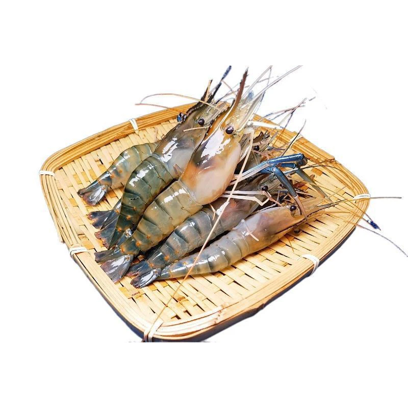 鲜活罗氏虾 约450g~500g/份 出水鲜活 离水缺氧易晕 介意慎拍