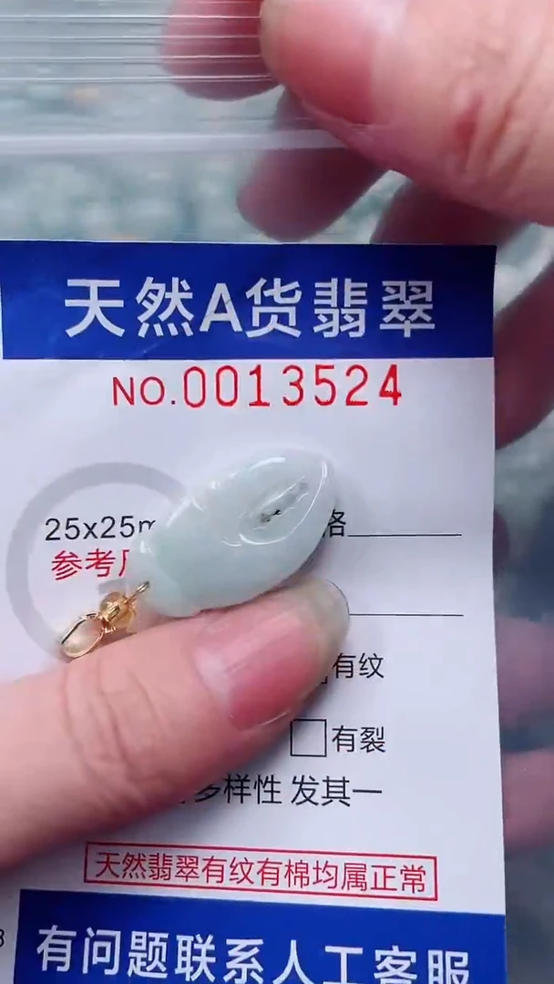 翡翠未镶嵌吊坠(不含链)1