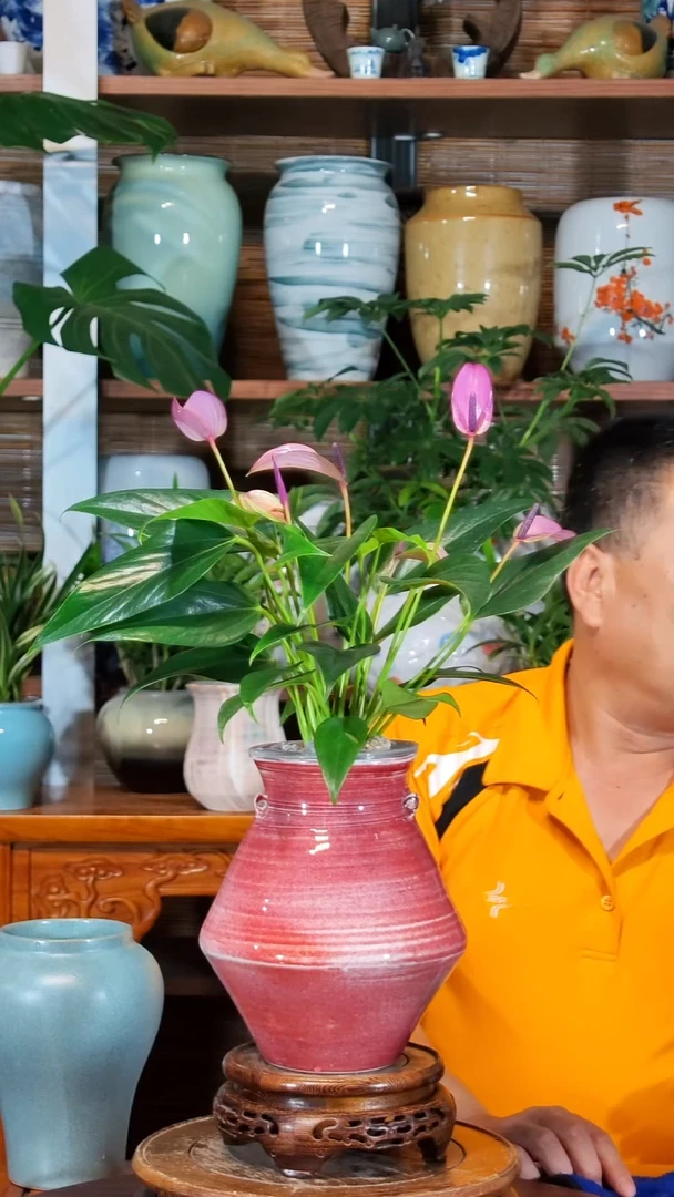 无花朵戈**C水之韵水培香妃