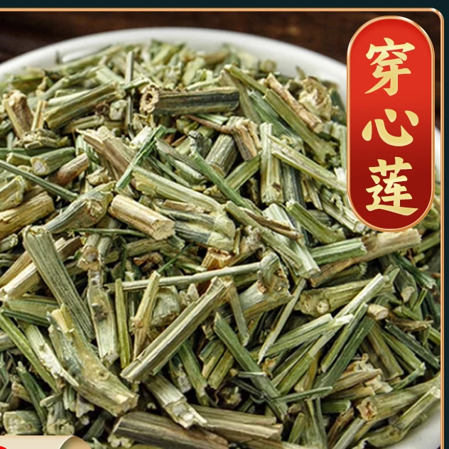 【穿心莲】穿心莲精选新货穿心莲