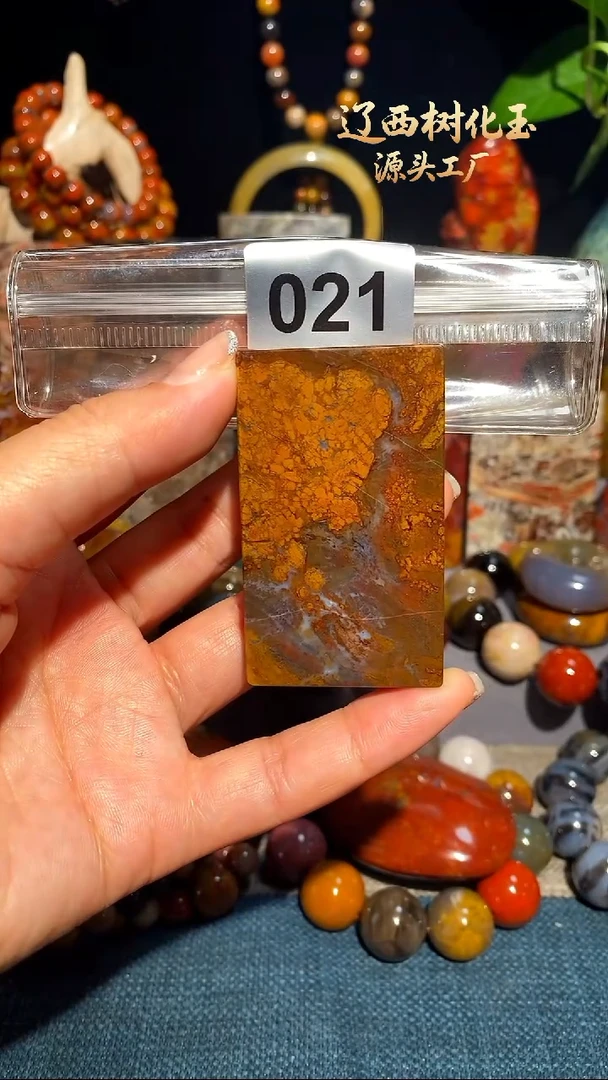 未镶嵌-硅化玉天然北票硅化玉吊坠