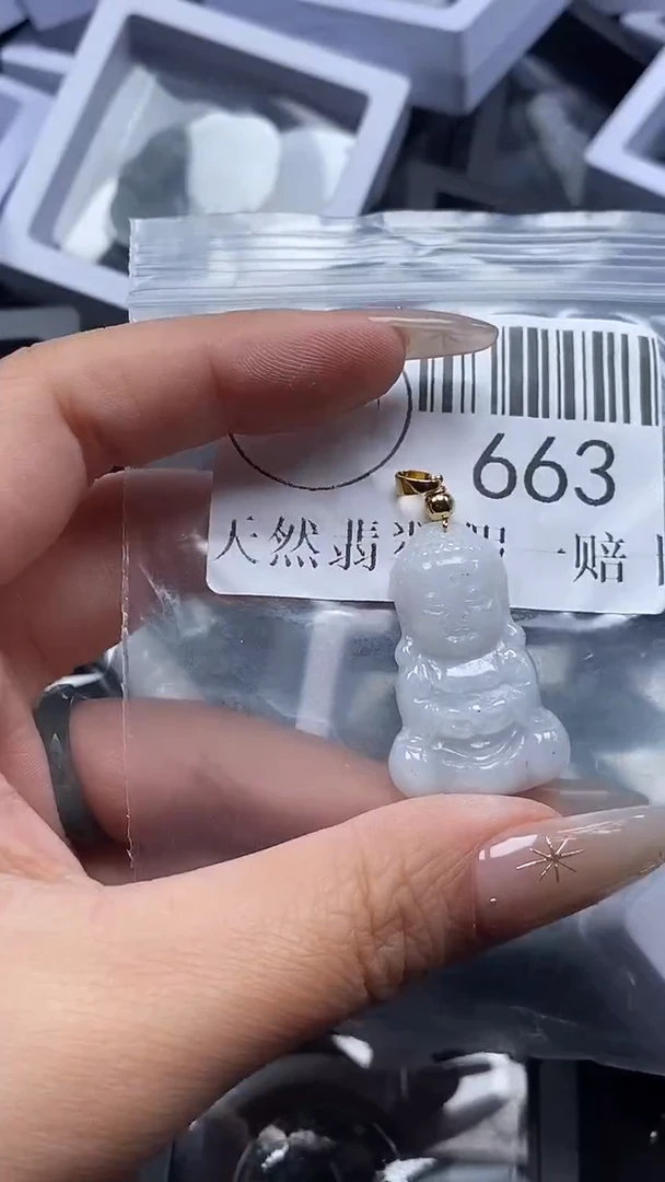 吊坠(不含链)未镶嵌翡翠663