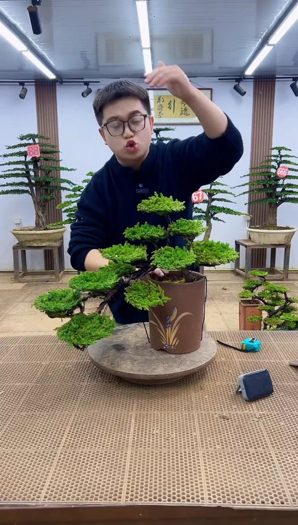 无花朵N****70000000000000000000