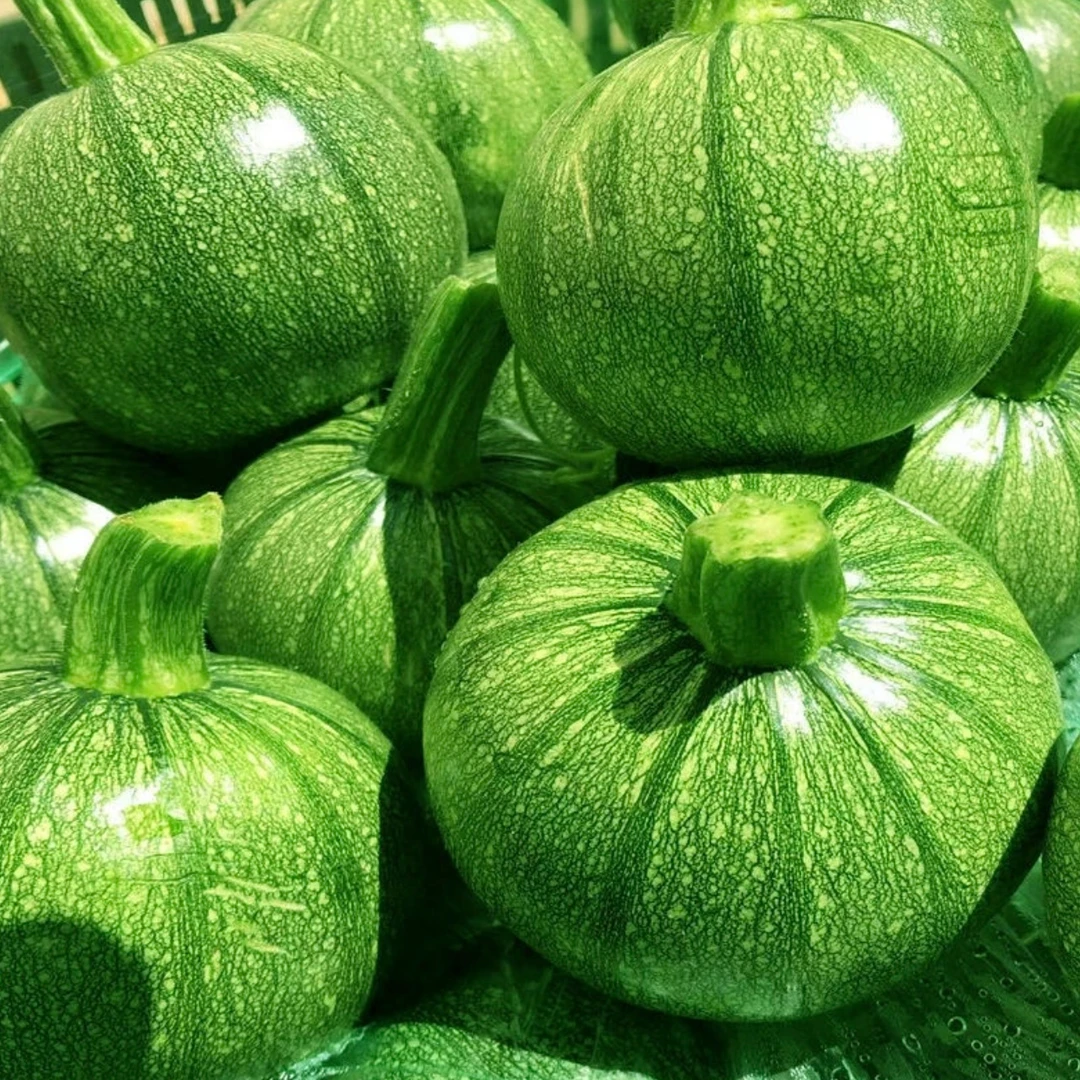 蘸水菜小圆瓜嫩南瓜农家自种安心太好吃了农家菜云南水煮嫩南瓜
