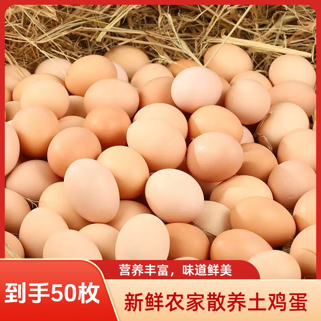 【50枚】新鲜农家散养土鸡蛋 营养丰富 味道鲜美 整箱发货