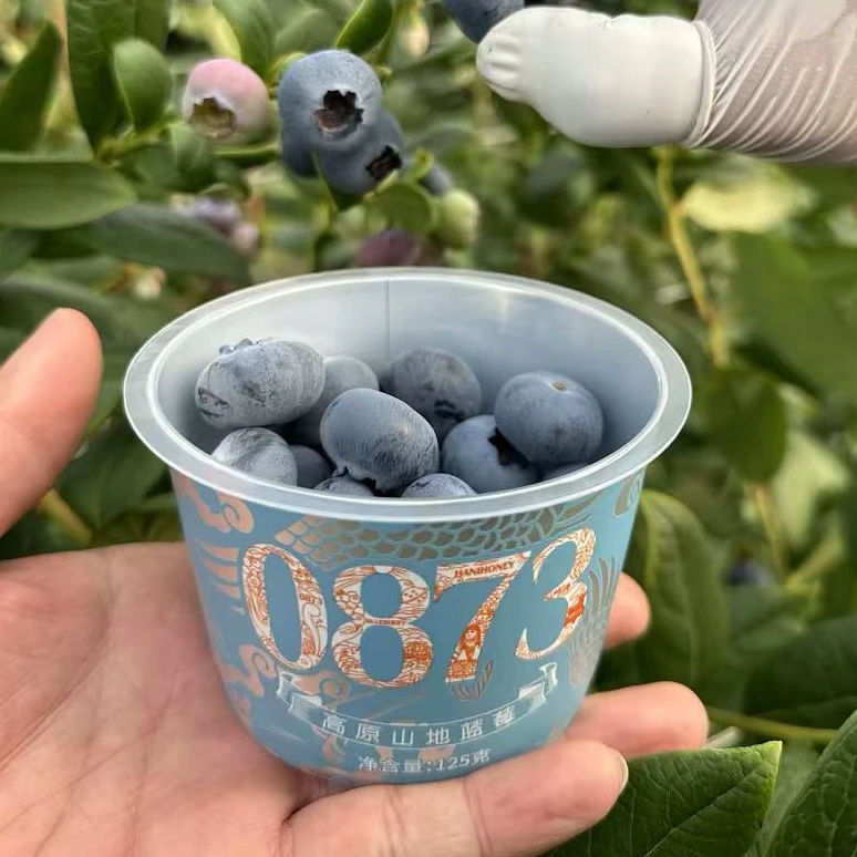 云南高山丨花香蓝莓丨大果125g/杯（顺丰包邮）