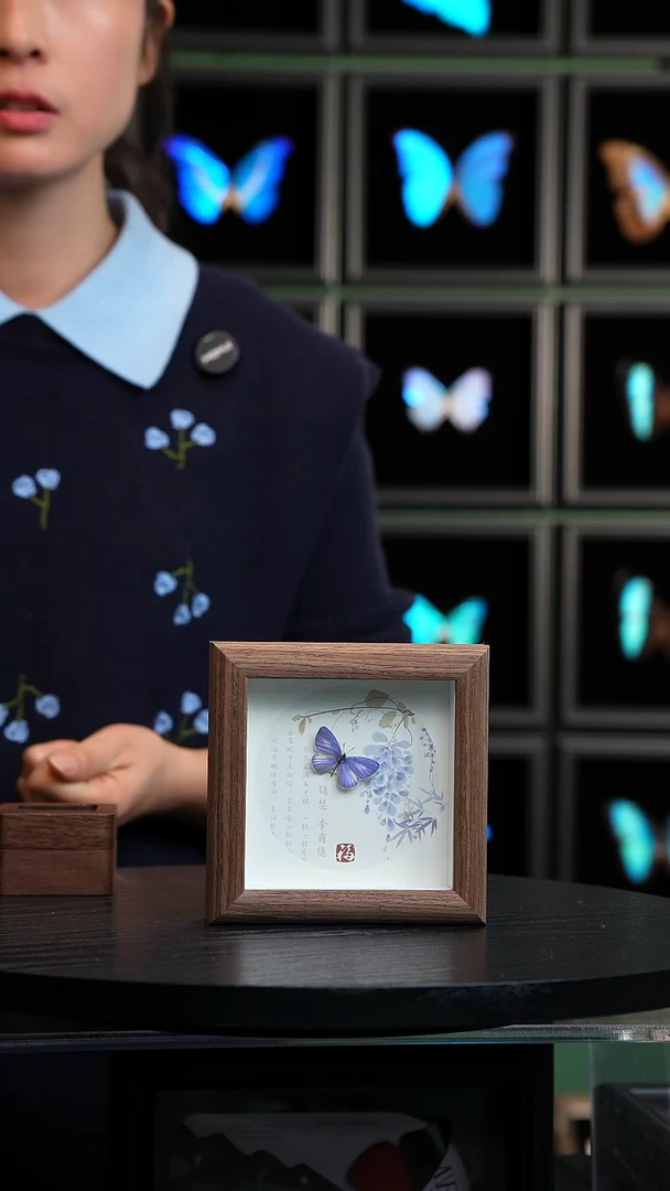 珍贵妩灰蝶4寸木纹框