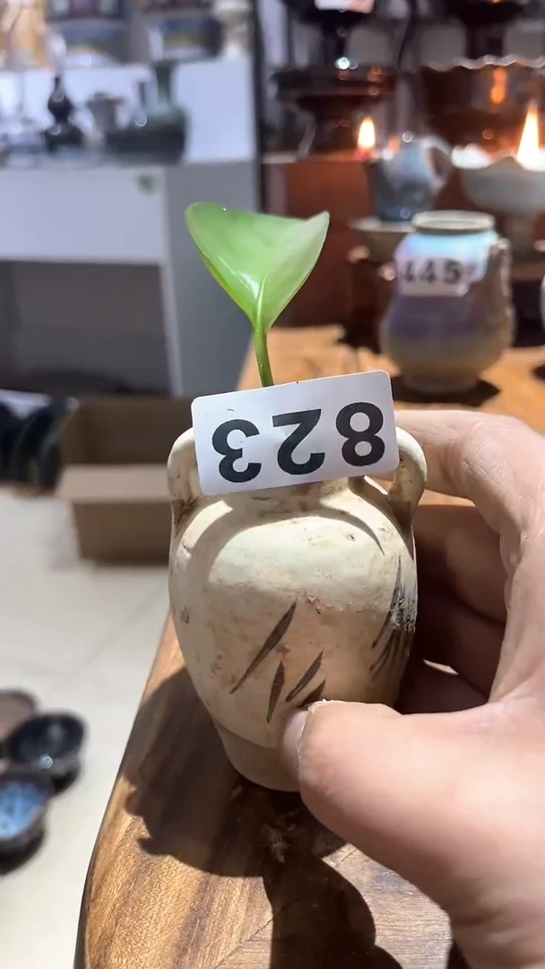 【闪购商品】摆件