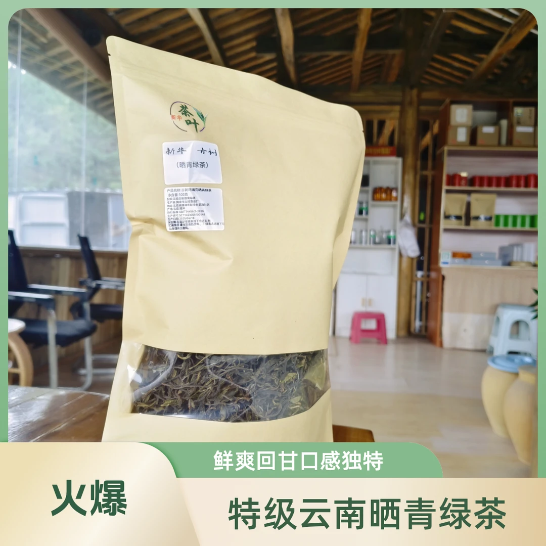 龙洒古村落古树晒青绿茶100克装 兰香醇厚回甘