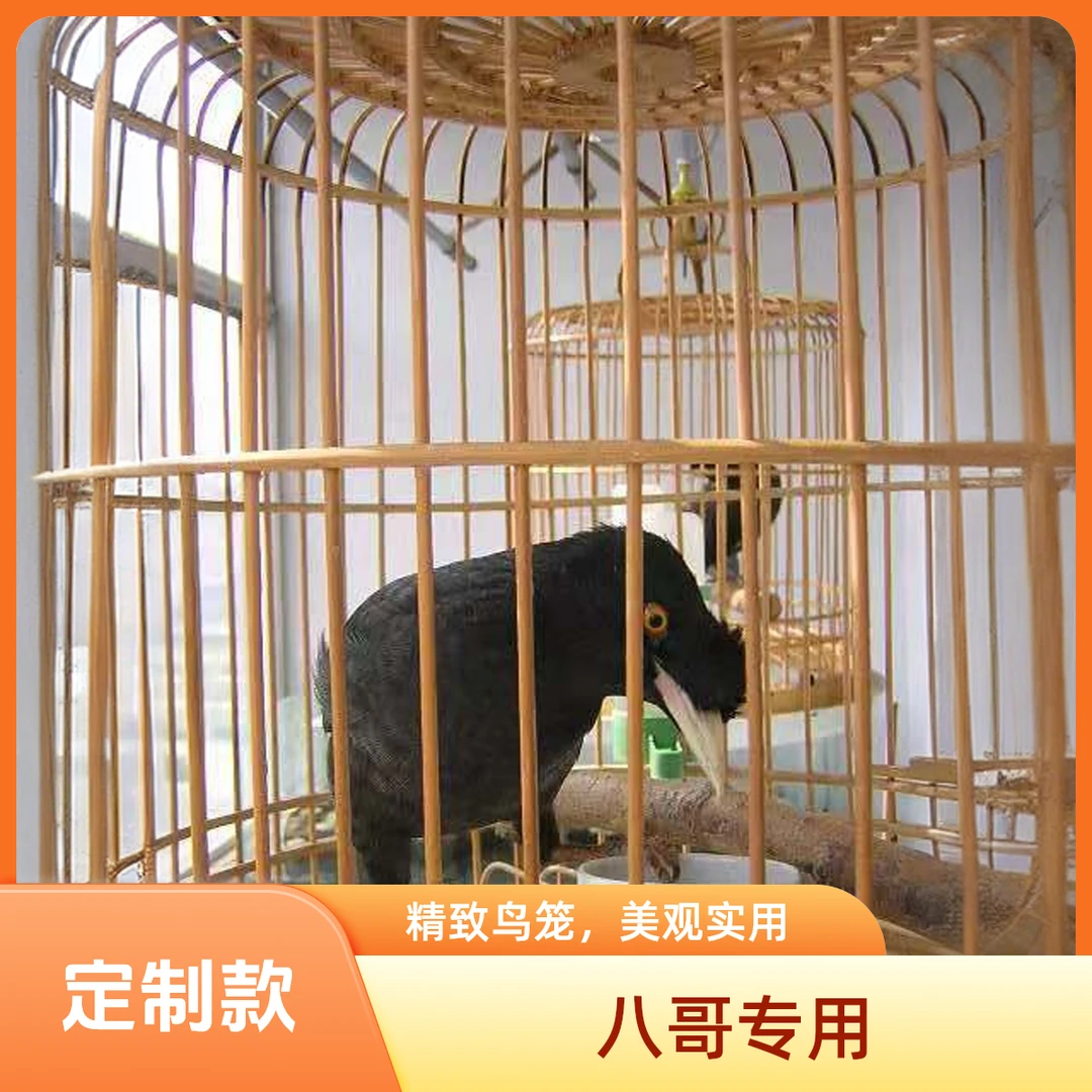 定制款小黑小林鸟笼家庭摆件定制链接购买请看购买需知定制款挂件