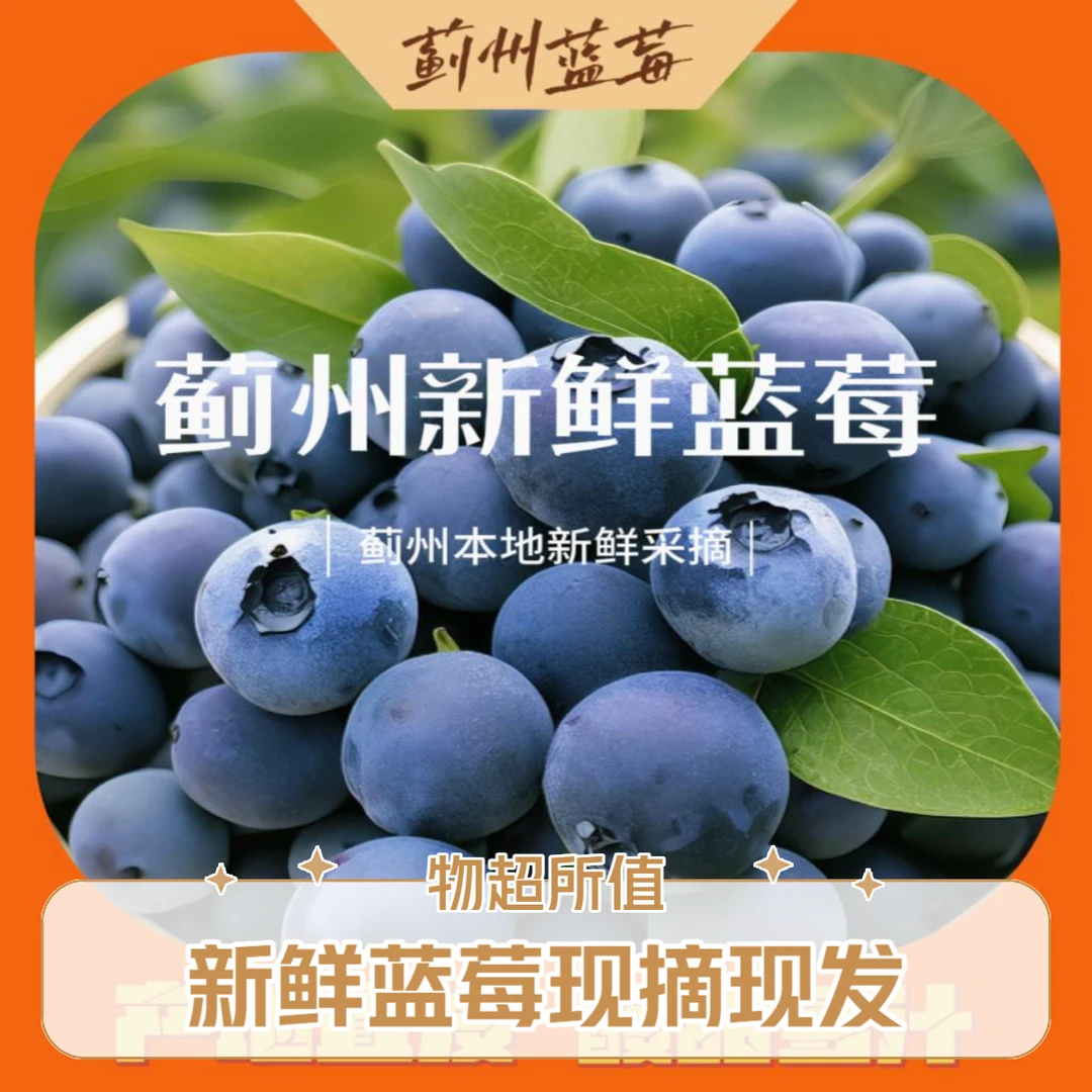 三斤四号蓝莓大特果天津蓟县采摘园15mm上下/1500g新鲜天津市