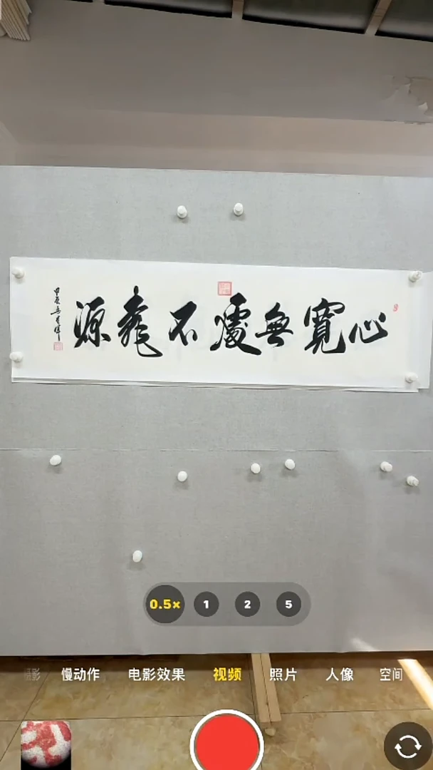 【闪购商品】书法-绘画-马贵军-4平尺书法