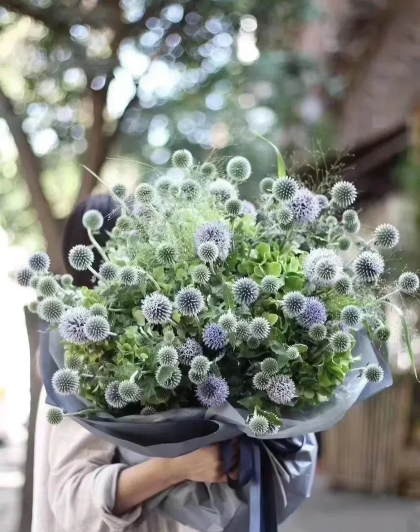 蓝星球丨鲜切小众花材可做干花