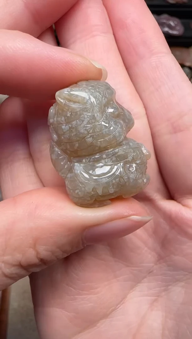 颈饰未镶嵌硅化珊瑚（珊瑚玉）823