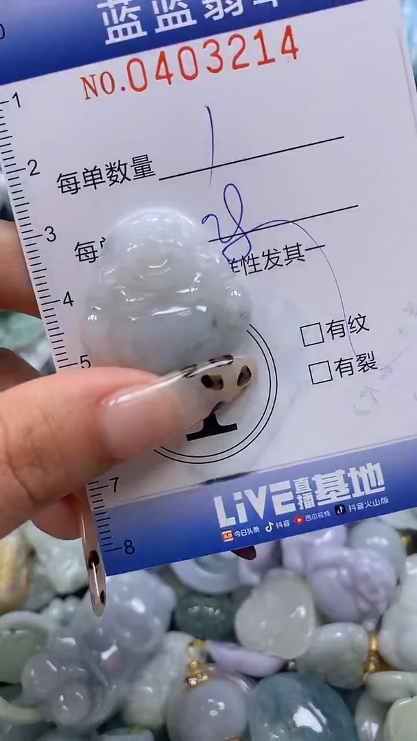 颈饰未镶嵌翡翠闪购0403214