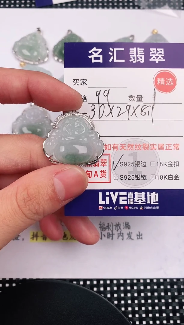 翡翠银S925镶嵌颈饰·