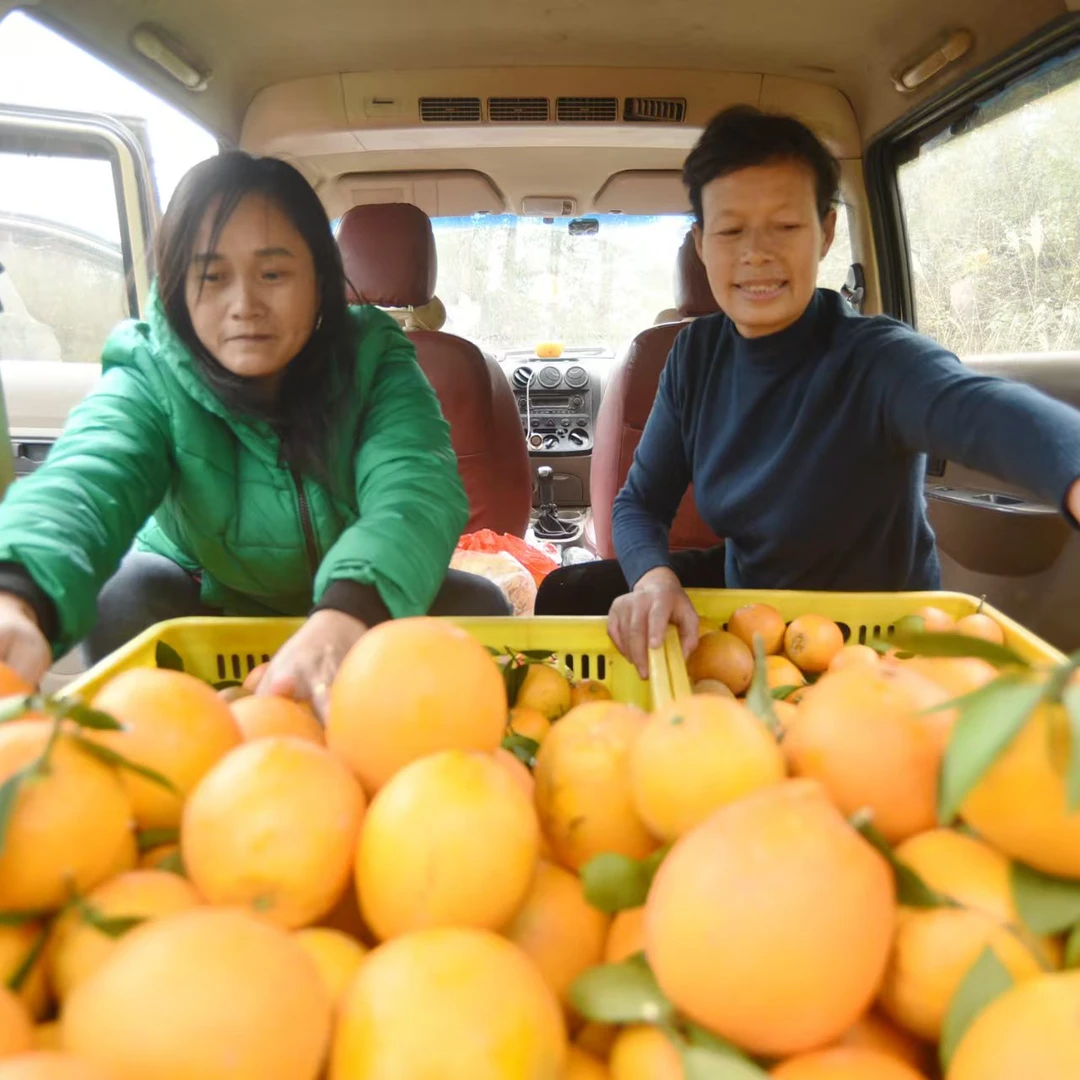 现摘正宗赣南新鲜橙子甜橙脐橙孕妇荷尔当季水果批发彩箱直供爆款