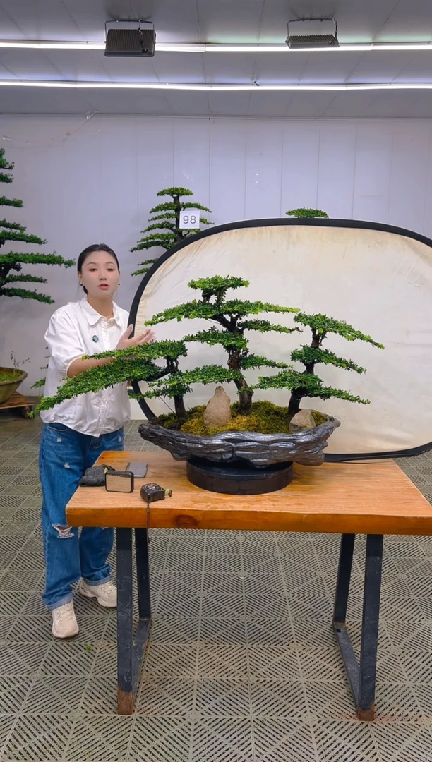 无花朵一物一拍一物一拍