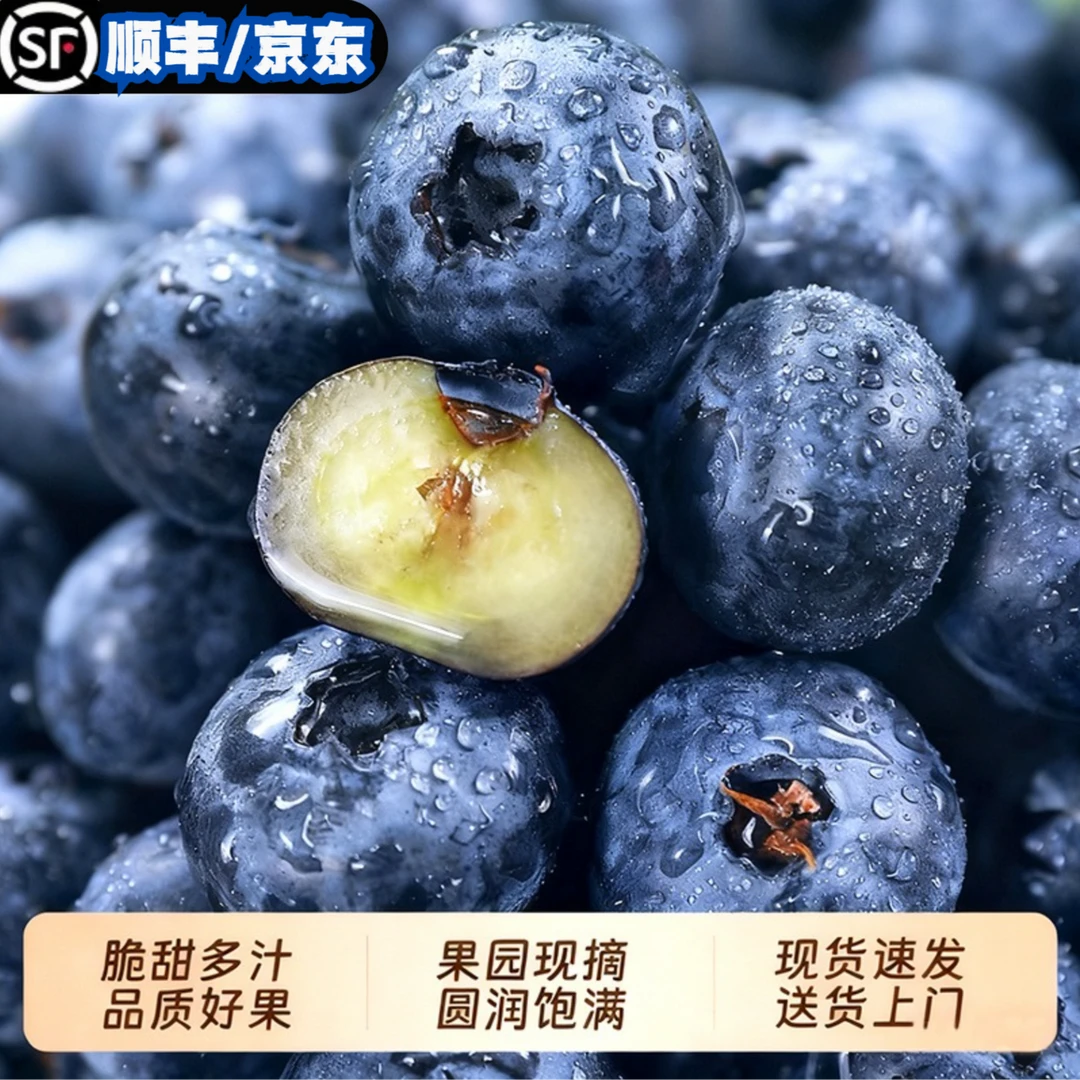 【顺丰/JD】甄选蓝莓鲜果新鲜应季水果维C孕妇宝宝辅食蓝莓S5-1-1