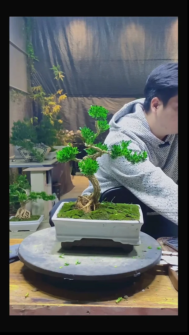 完全开放用**跑11111111111