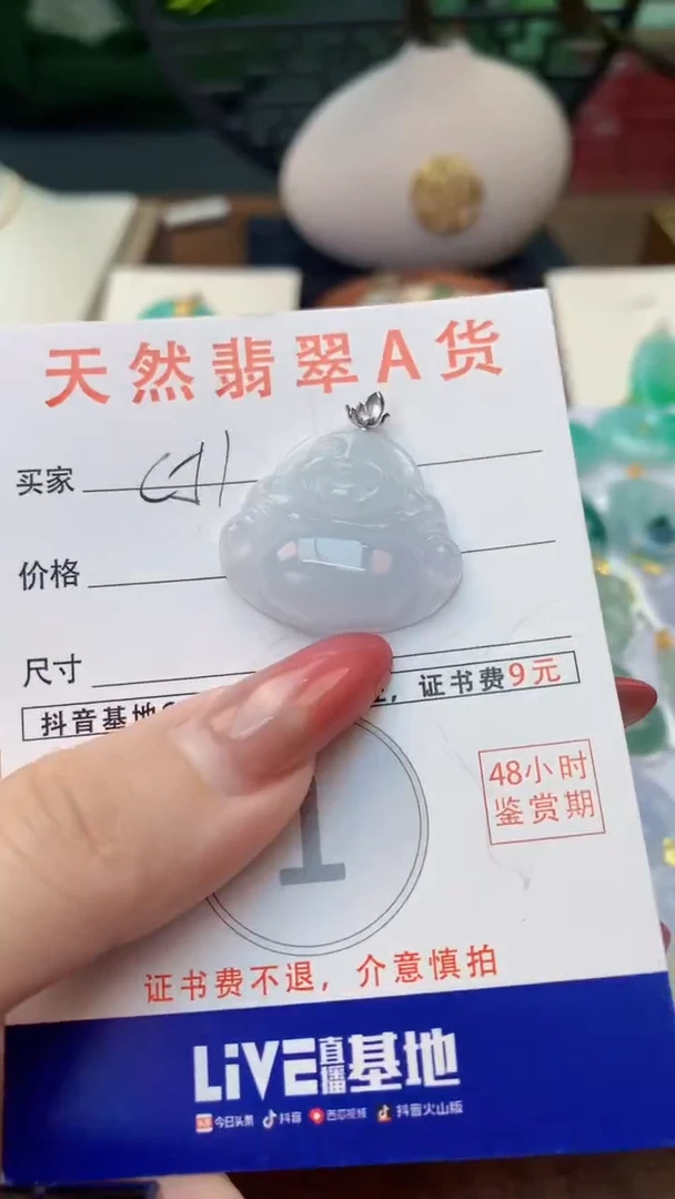 颈饰未镶嵌翡翠天然A货翡翠挂件