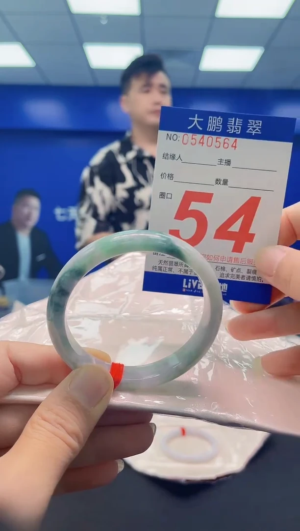 未镶嵌手镯翡翠AAAAAAAAA
