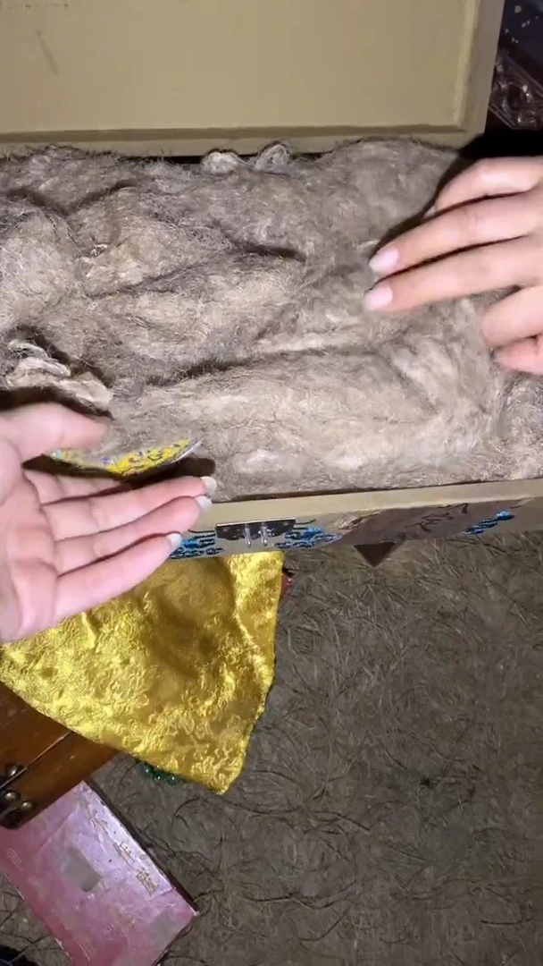 香榧木一一一一一一一一福利