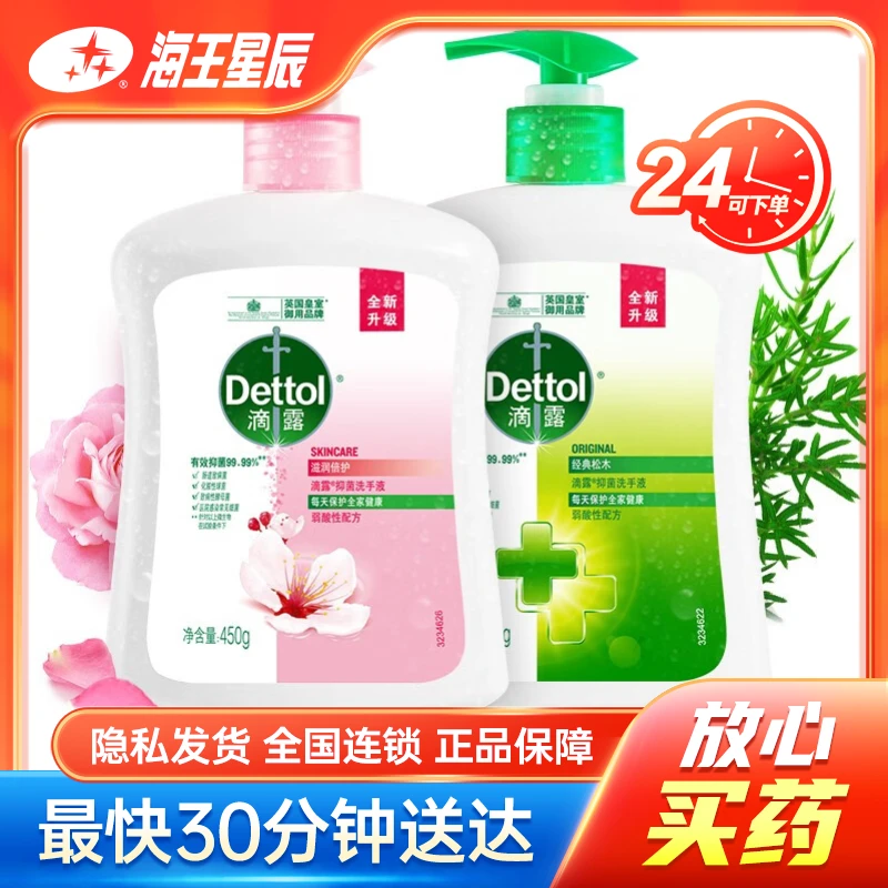 滴露，抑菌洗手液经典松木450g+滋润倍护450g（套装）  利洁时  1套