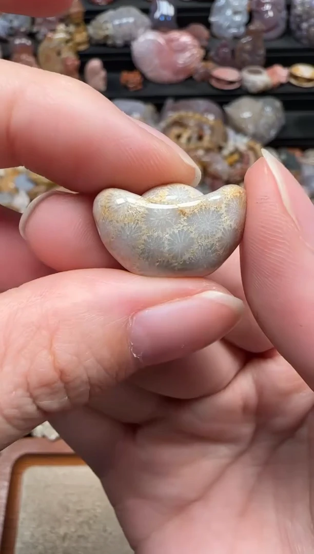 颈饰未镶嵌硅化珊瑚（珊瑚玉）491