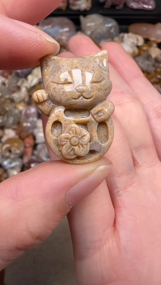 硅化珊瑚（珊瑚玉）未镶嵌颈饰740