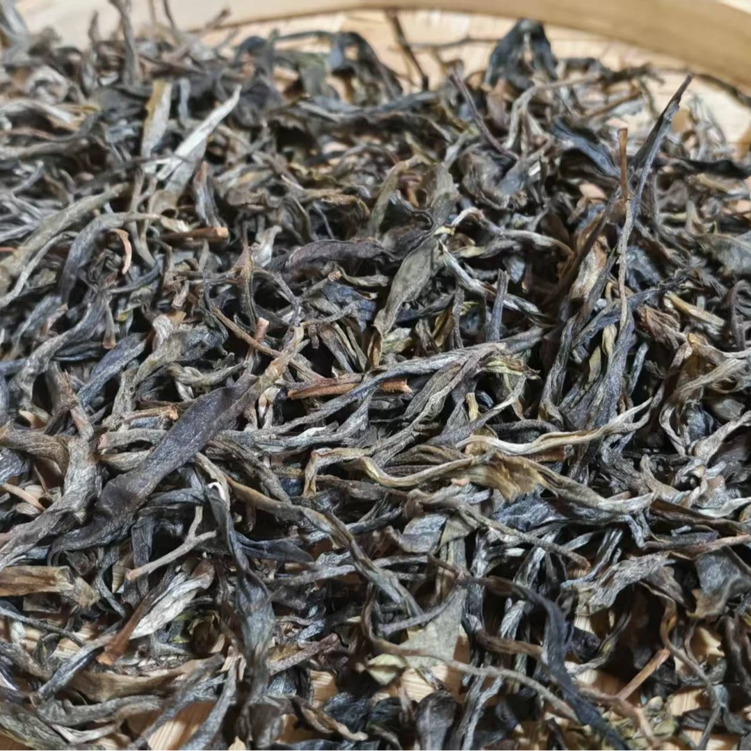 荒山古树普洱2025年头春纯料花香蜜甜兰花香十足