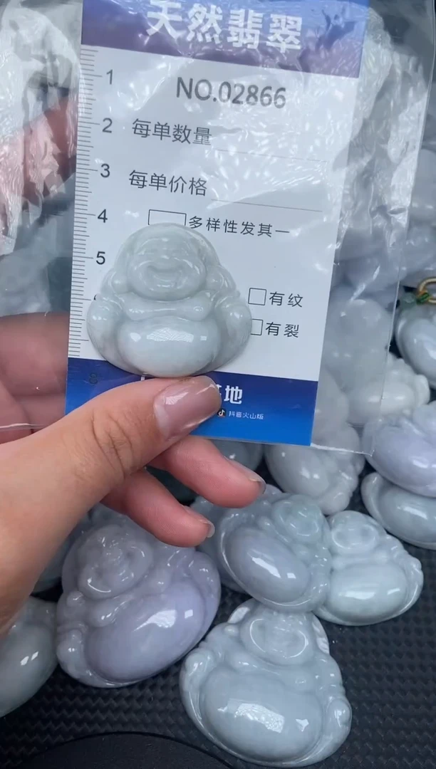 颈饰未镶嵌翡翠纯天然A货翡翠2866