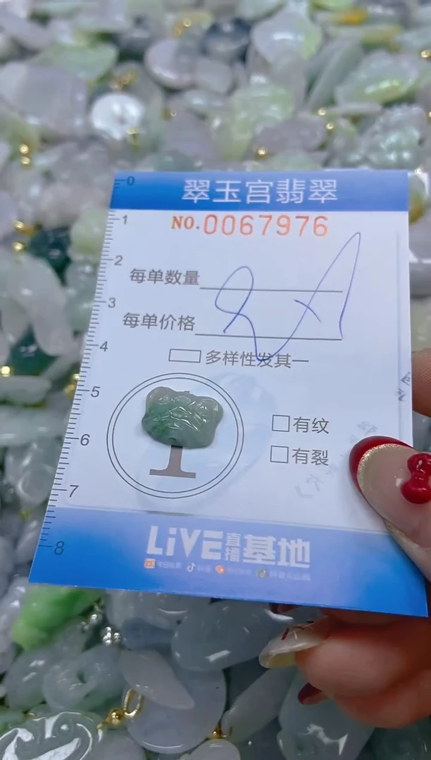 【闪购商品】翡翠颈饰未镶嵌闪购0067976