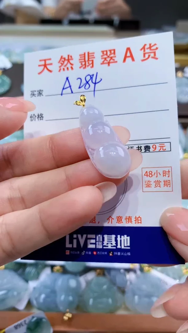 颈饰未镶嵌翡翠天然翡翠A货挂件