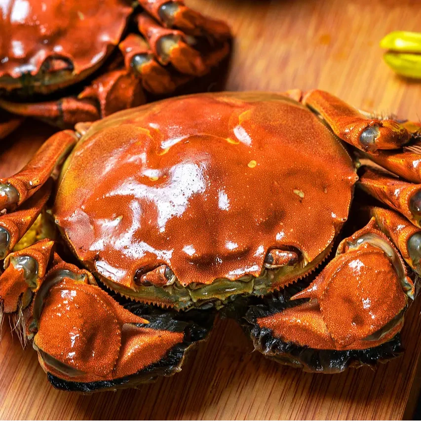 【活蟹】软壳青蟹公0.7~1两/只2斤/3斤顺丰包邮次日达