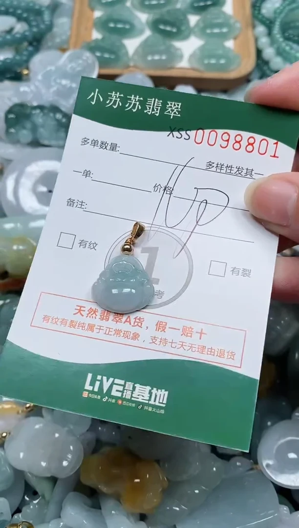 【闪购商品】翡翠颈饰未镶嵌闪购商品0098801