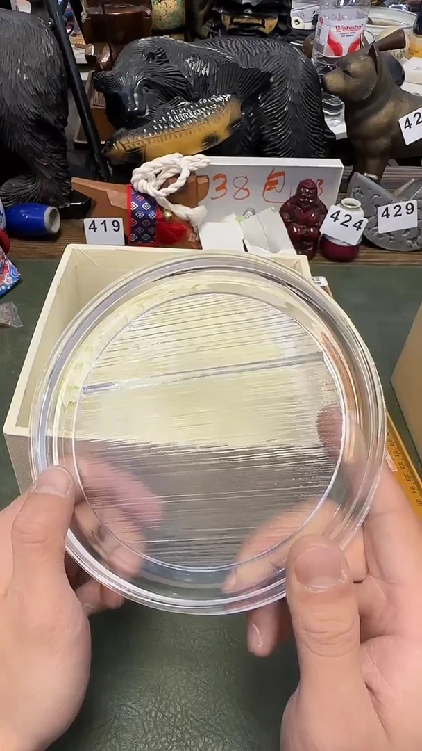 478···hoya水晶5片