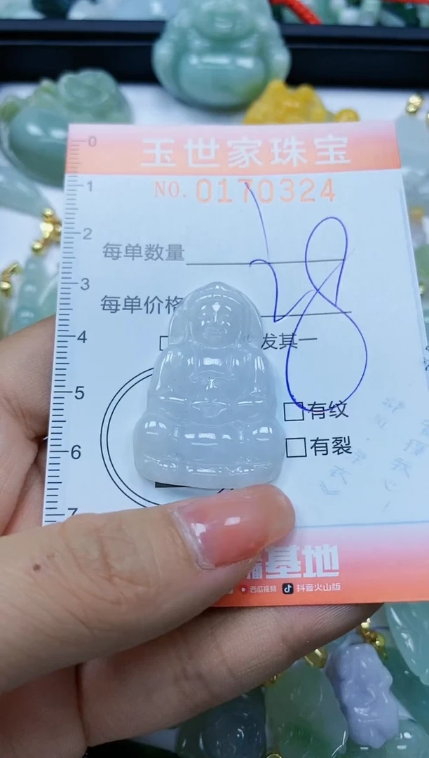 【闪购商品】翡翠颈饰未镶嵌闪购0170324