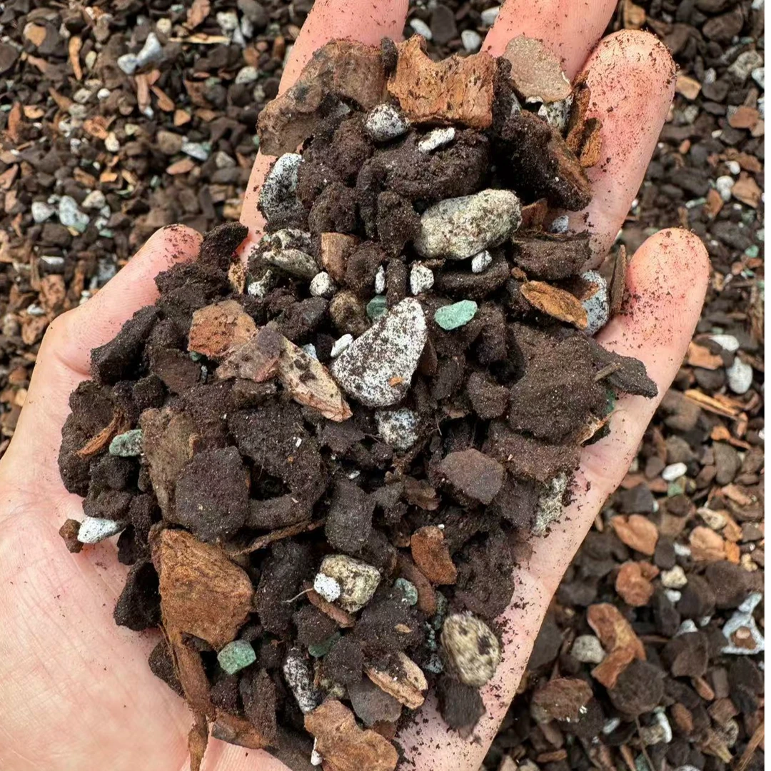 植物专用3 号土（拍一发二）