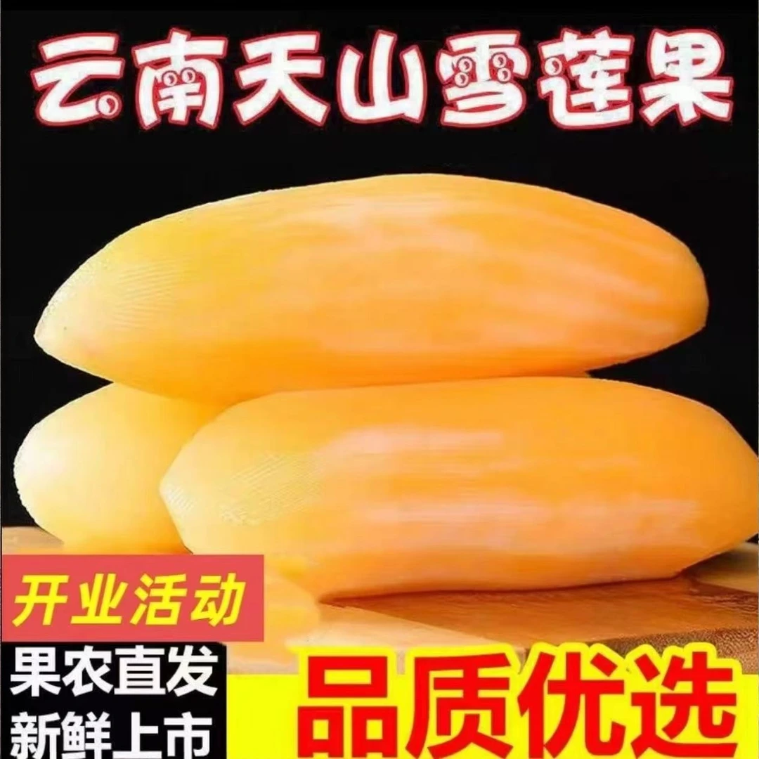 云南天山雪莲果黄心新鲜应季水果清甜脆爽多汁产地包邮