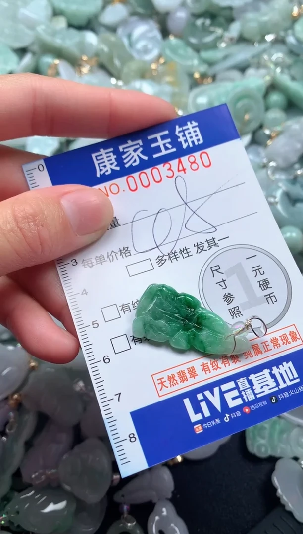 颈饰未镶嵌翡翠3480